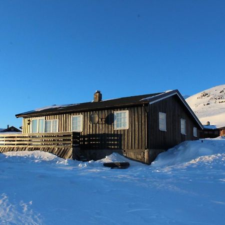 Kjoniksbu - 3 Bedroom Cabin Ål Exterior foto